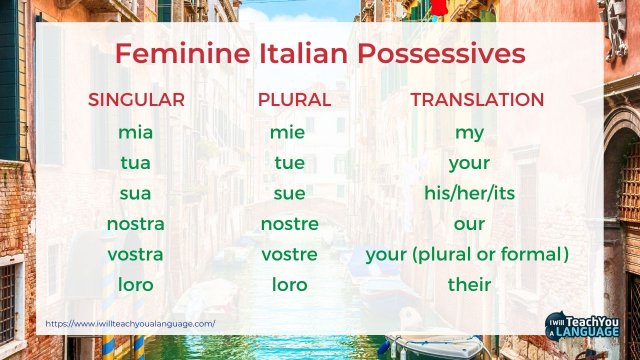 Possessive Adjectives Italian Storylearning