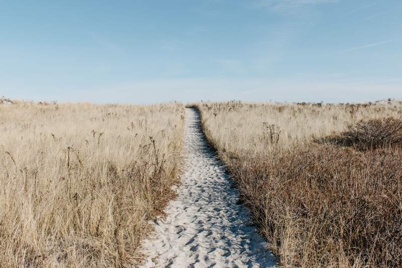 sandy path