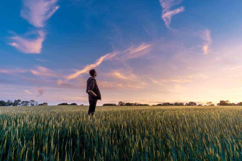 man in field looking up to sky