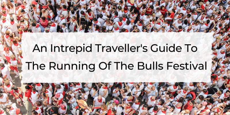 an intrepid traveller's guide to the running of the bulls festival