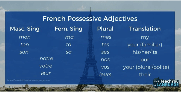 french-possessive-adjectives-how-to-use-them-correctly-2023
