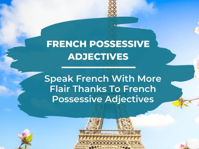 How to use French possessive adjectives