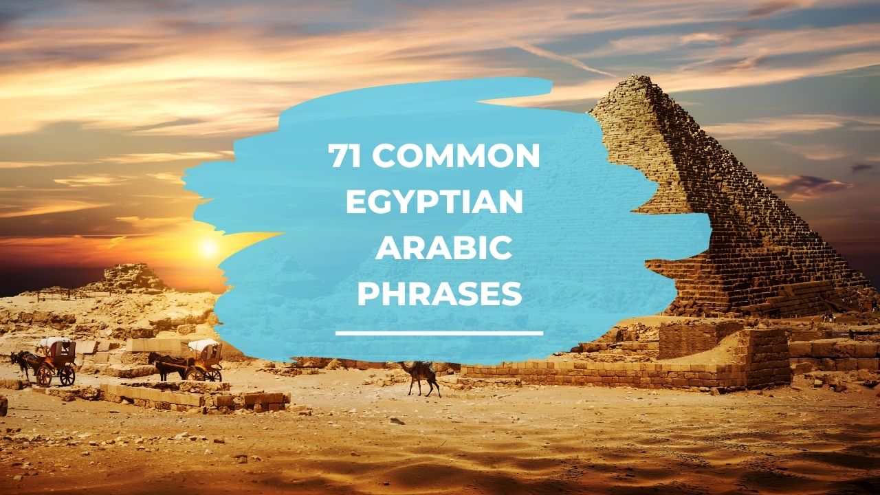 71 Common Egyptian Arabic Phrases StoryLearning 2023 