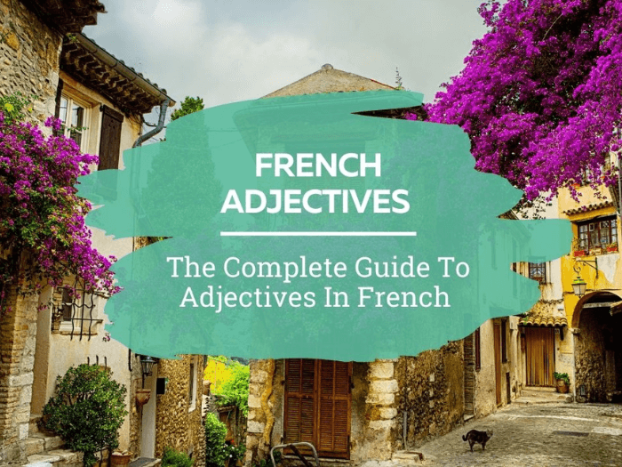 french-adjectives-a-complete-guide-to-using-them-correctly