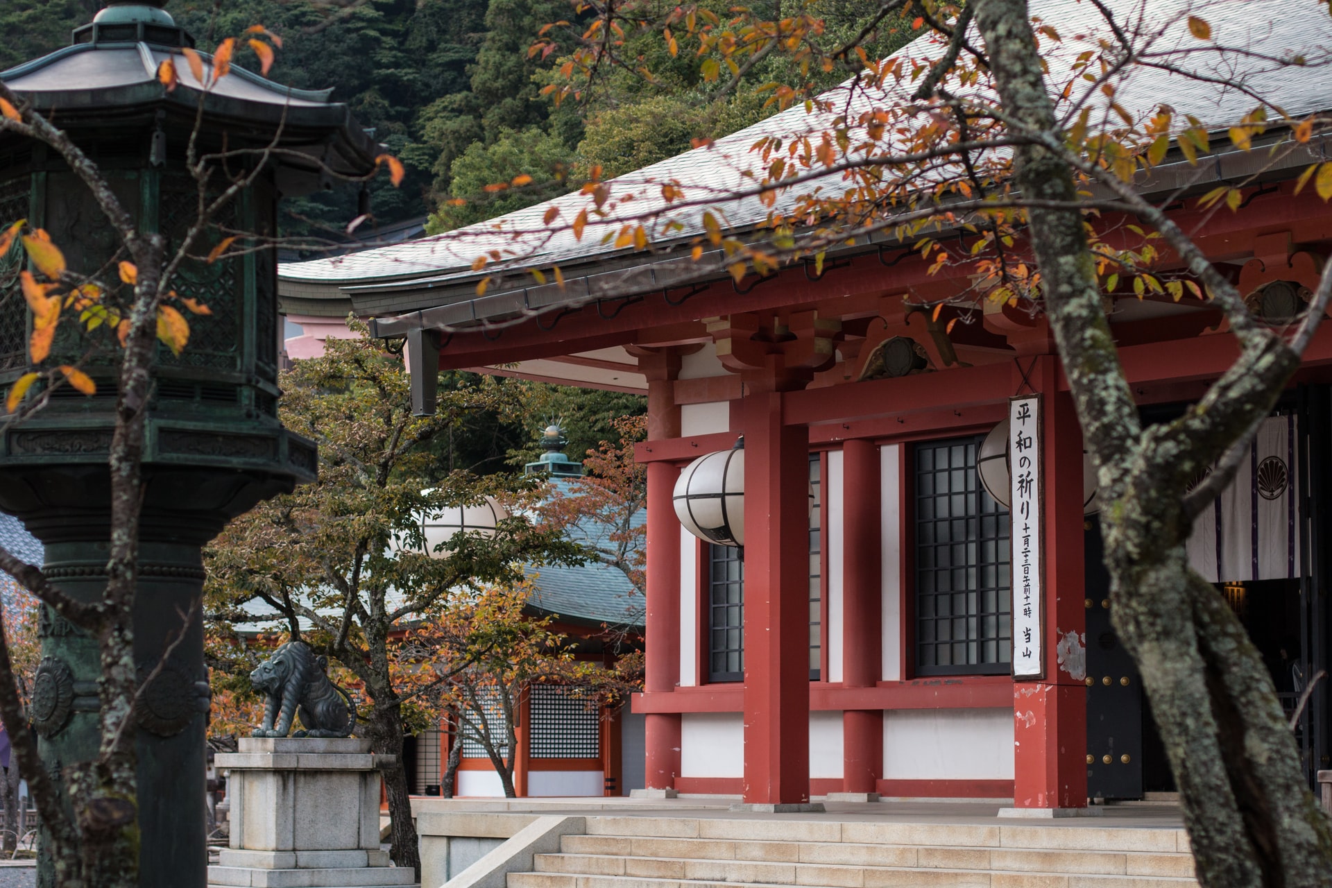 Japanese pronouns and pronouns in English