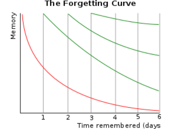 the forgetting curve