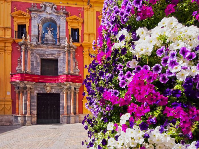 flowers in a spanish city