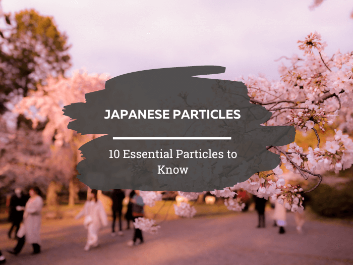 Japanese particles