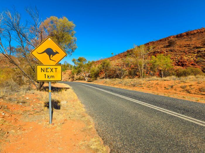 a road with a sign of a kangaroo