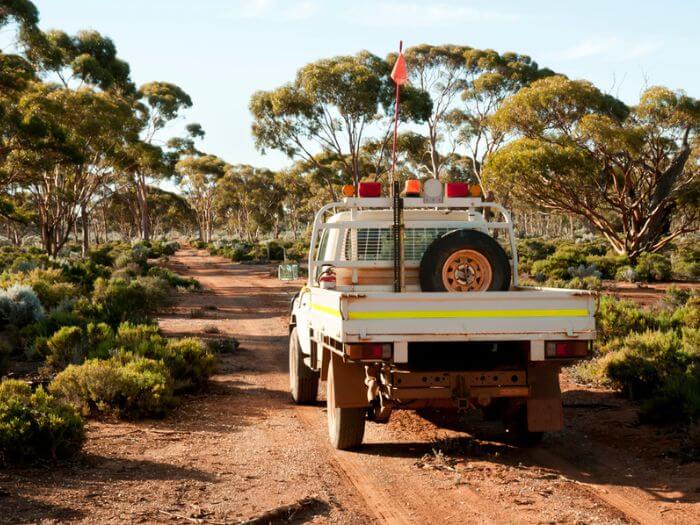 ute, utility vehicle