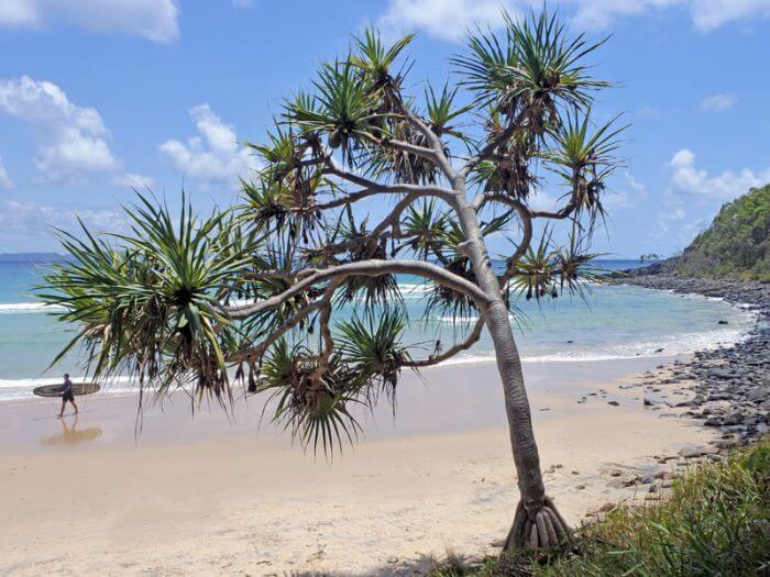 Australian beach this arvo