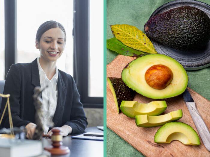 French homonyms avocat French homonyms avocat