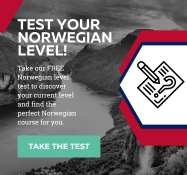 Norwegian online level test