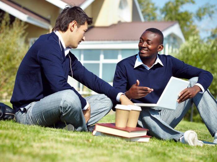 language fossilisation 