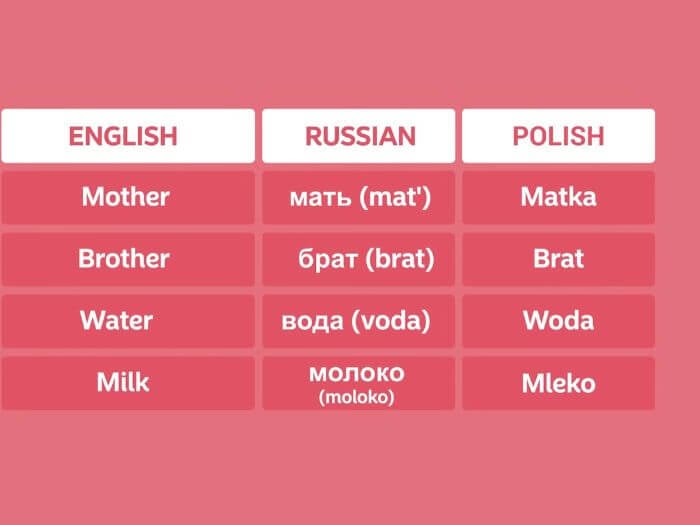 Similarities between Russian and Polish